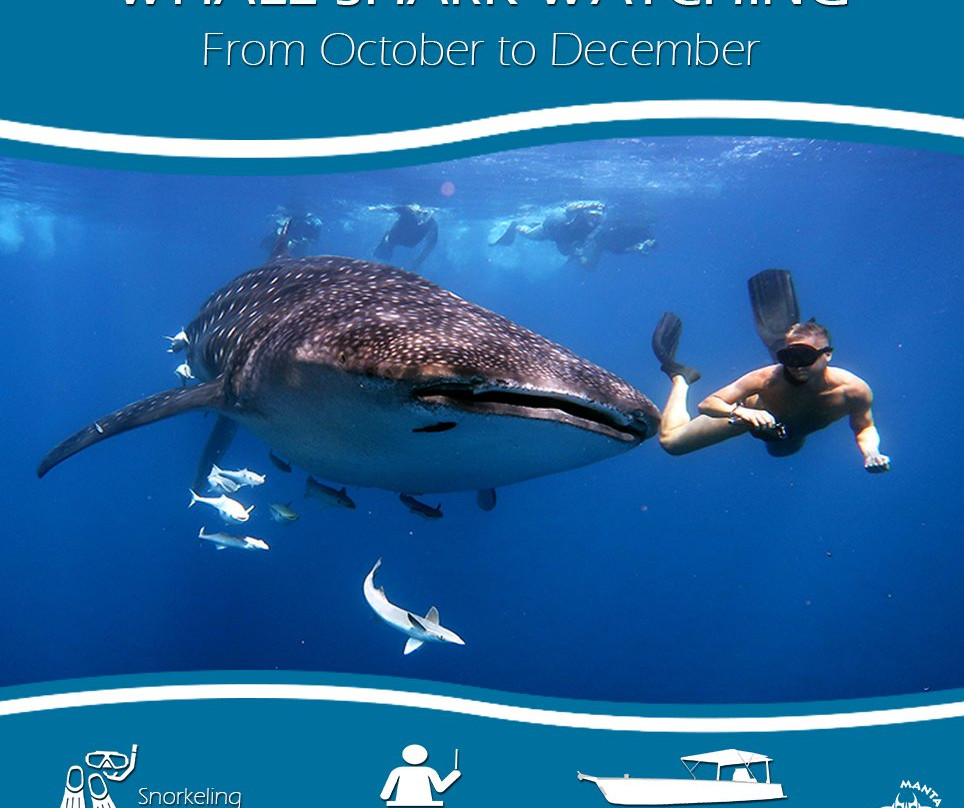 Manta Diving景点图片