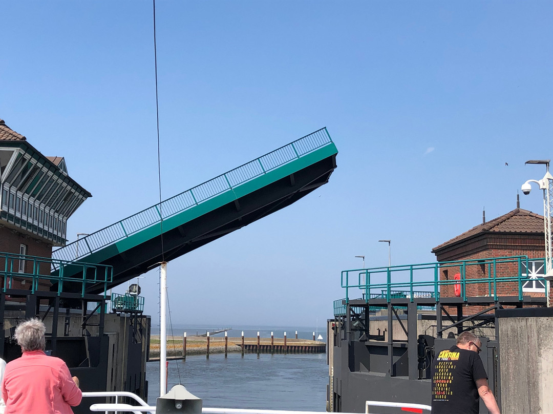 Fahrgastschiff - Graf Edzard I.-Krummhoern必去景点