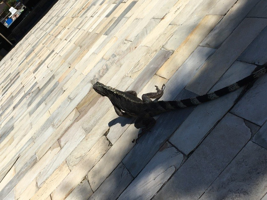 Vila Gale Mares主图