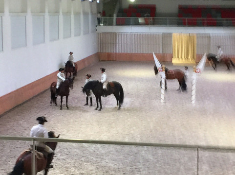 A Escola Portuguesa de Arte Equestre-里斯本必去景点