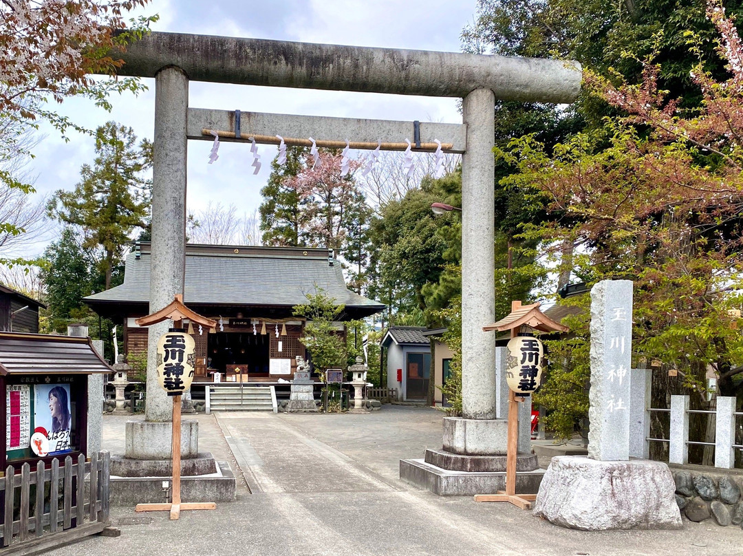 Tamagawa Shrine-羽村市必去景点