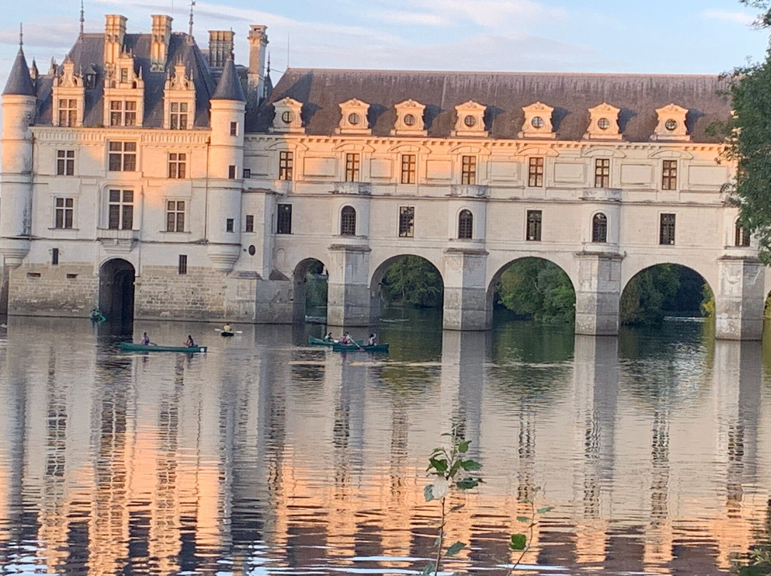 Bella Simonetta主图