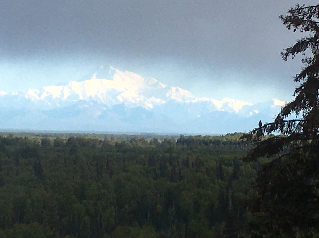 Denali Overlook Inn主图