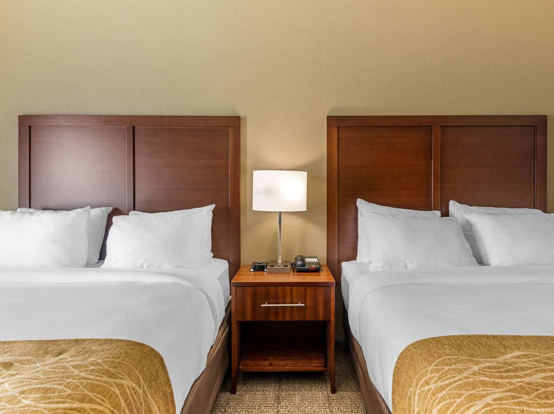 Comfort Inn & Suites主图