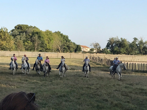 Manade Blanc-阿尔勒必去景点