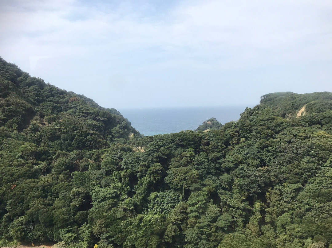 Mt. Nokogiri Ropeway景点图片