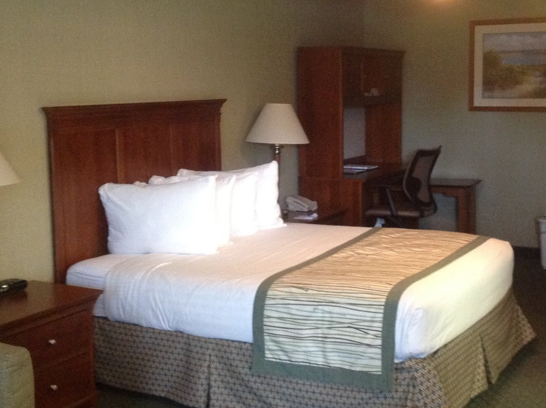 IHG Army Hotels MacKintosh Buildings主图