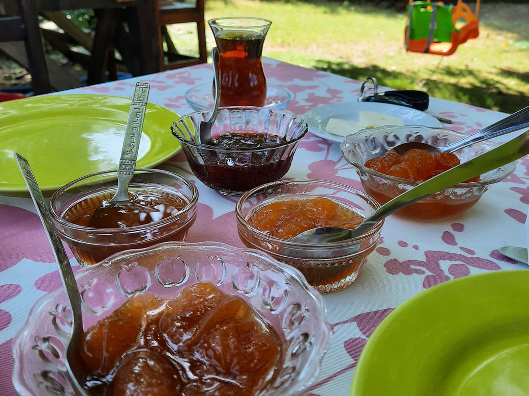 Kaya Apart Pansiyon主图