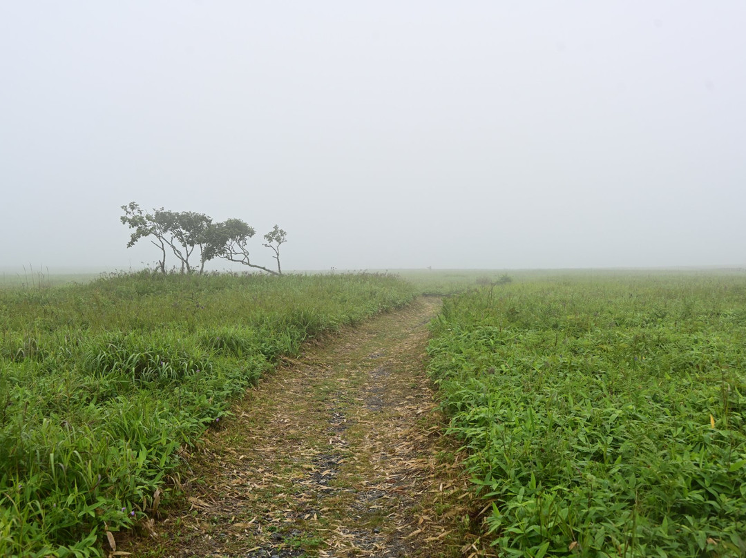 Cape Namida-滨中町必去景点
