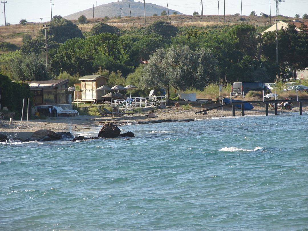 Neco Beach景点图片