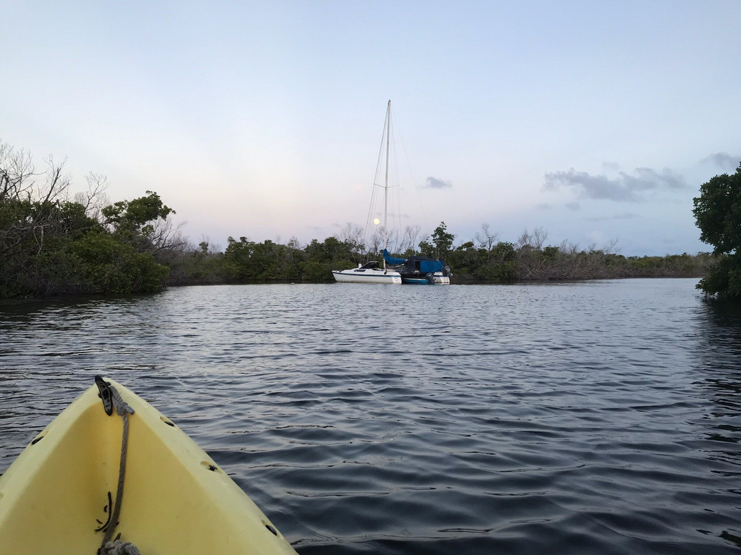 Virgin Island EcoTours - St. Thomas Tours-圣 托马斯必去景点