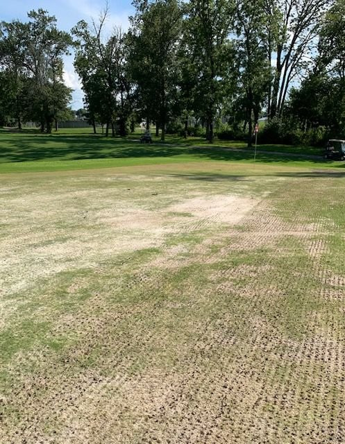 King's Creek Golf Club-Spring Hill必去景点