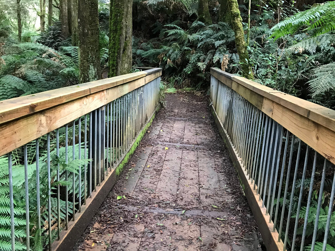 Melba Gully National Park景点图片