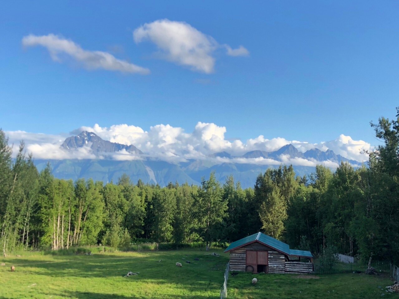 Alaska's Harvest Bed & Breakfast-官方