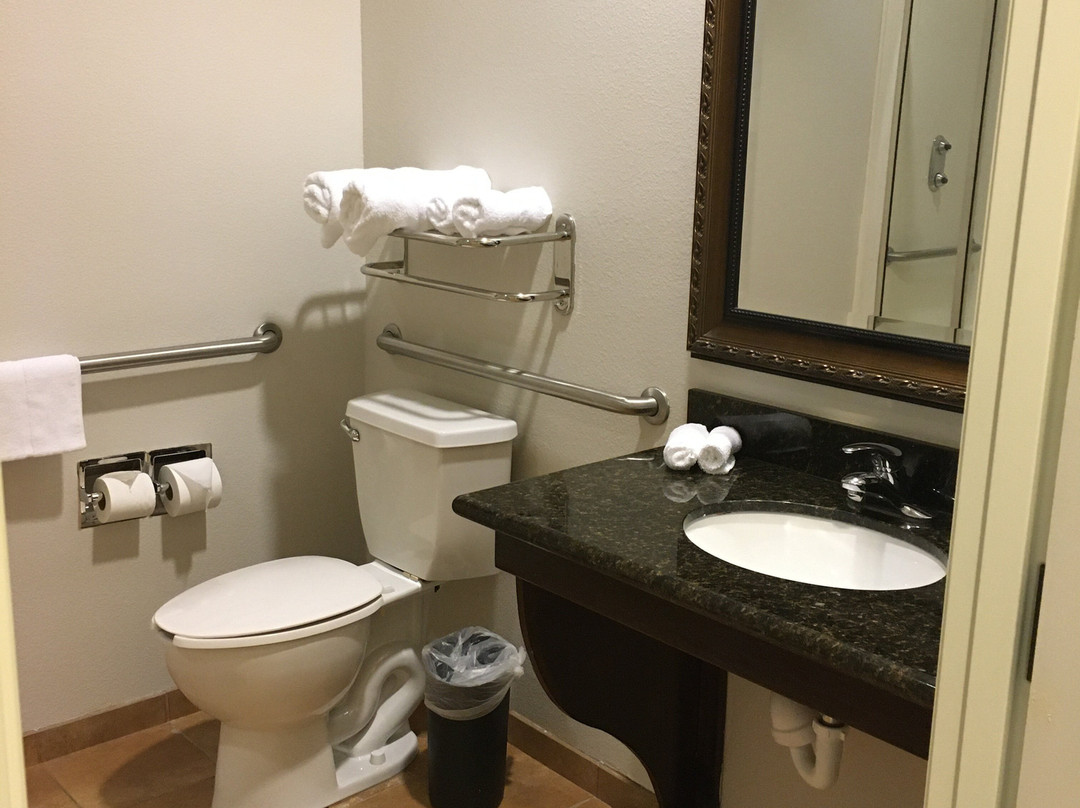 萨尔弗斯普林斯快捷假日套房酒店主图