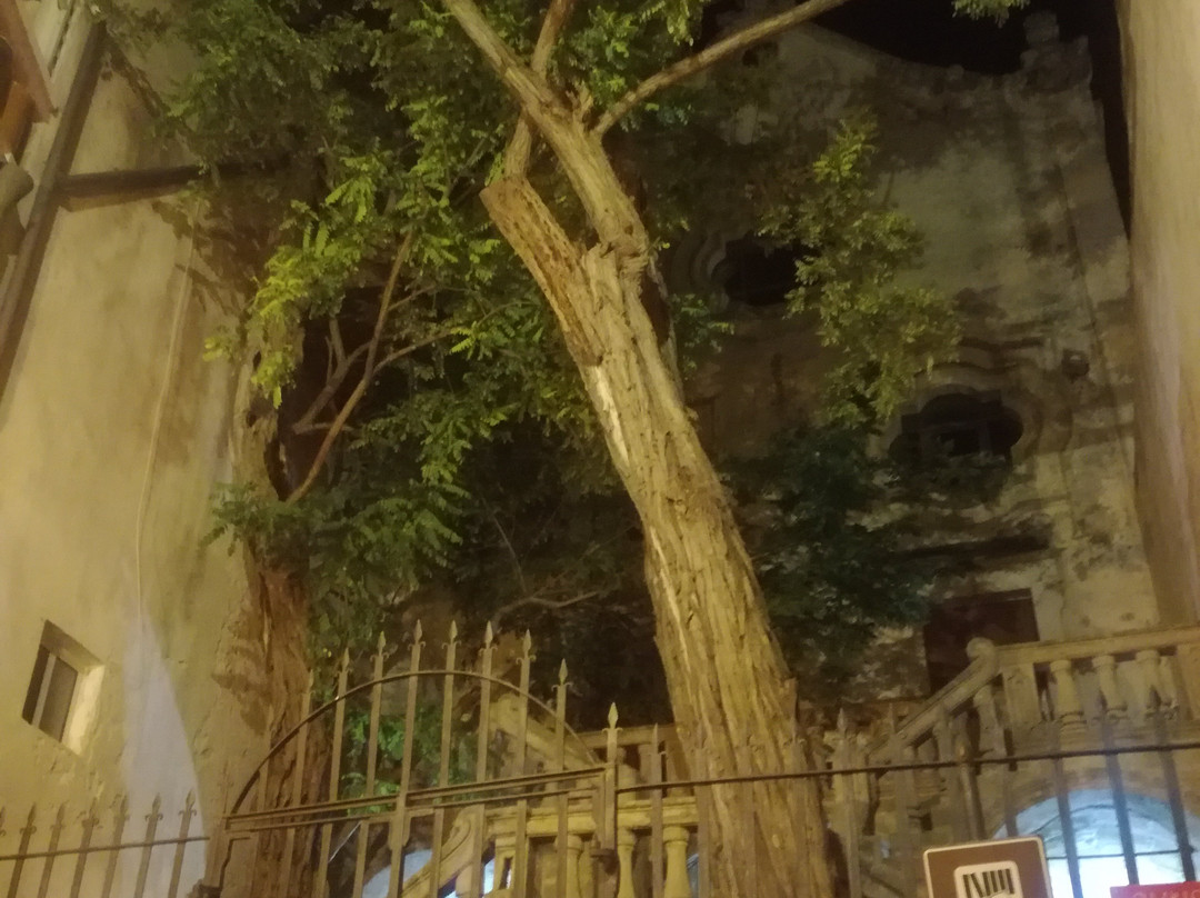 Biblioteca Comunale ed Archivio Storico-加里波利必去景点