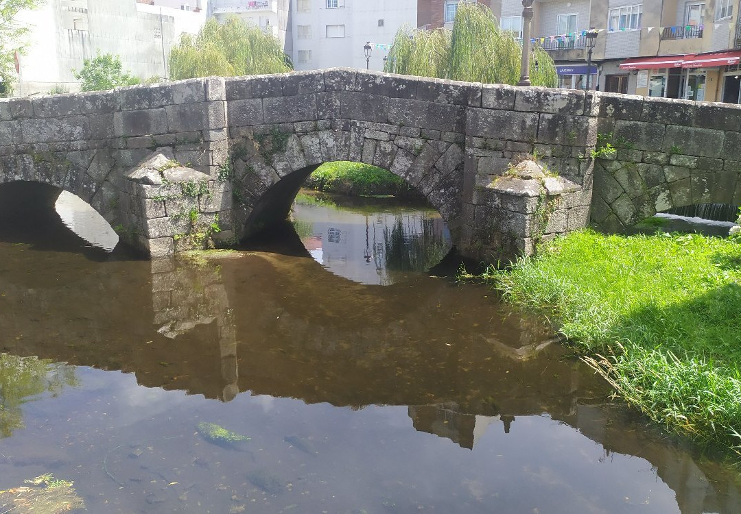 Carballeira de Caldas de Reis景点图片