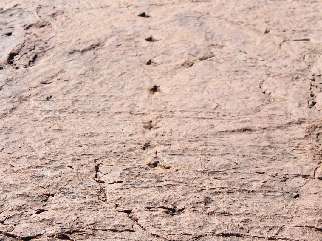 Dinosaur Tracks - National Monument NAMIBIA-Kalkfeld必去景点