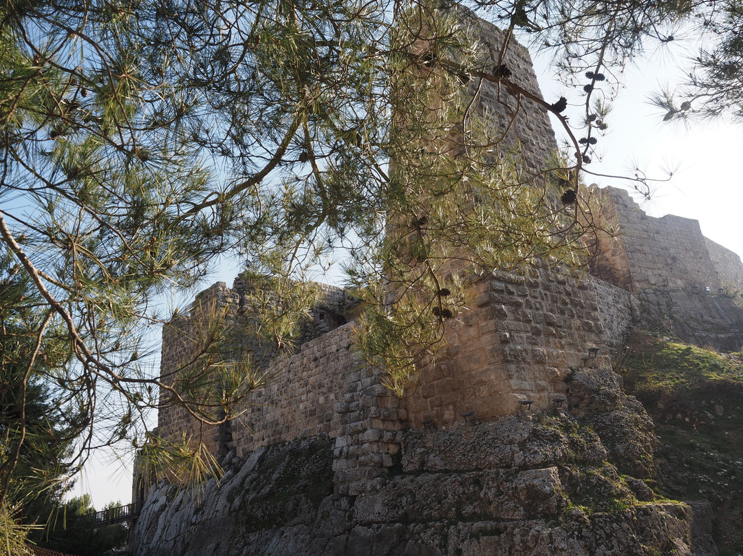 Ajlun Castle (Qala'at ar-Rabad)景点图片