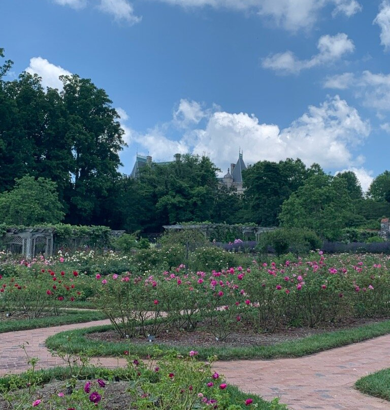Biltmore Village景点图片