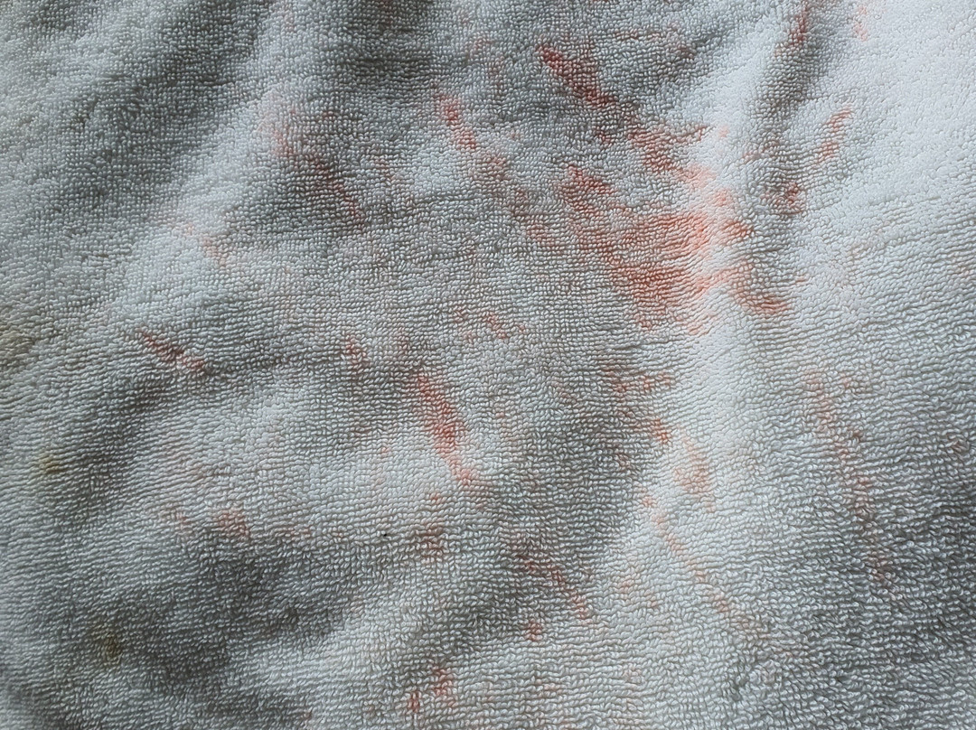 阿洛拉大酒店主图