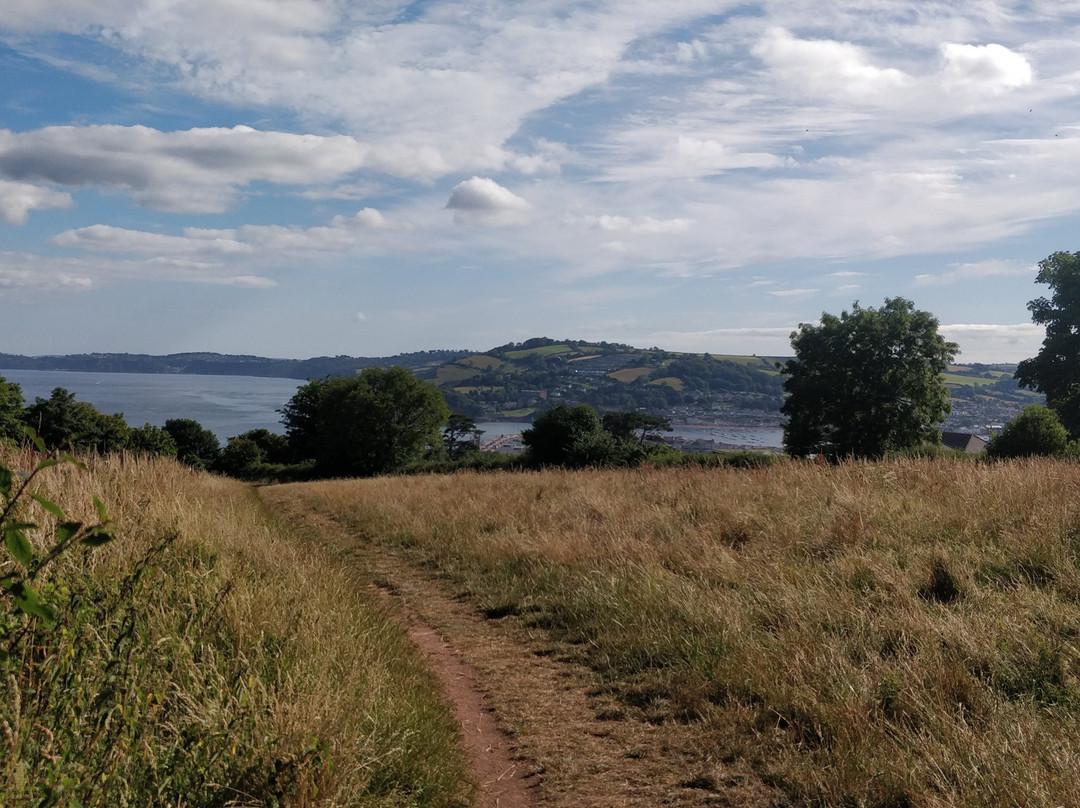 The Minadab Cottage主图