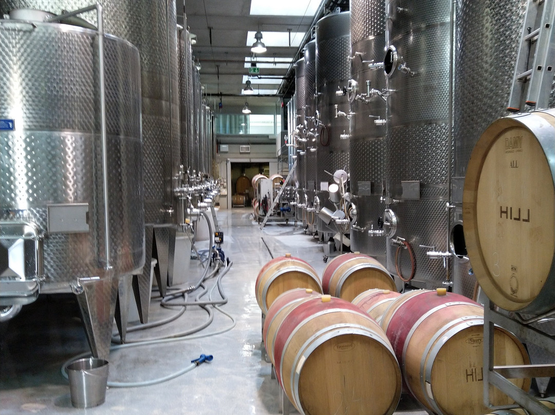 Weingut Leo Hillinger-Jois必去景点