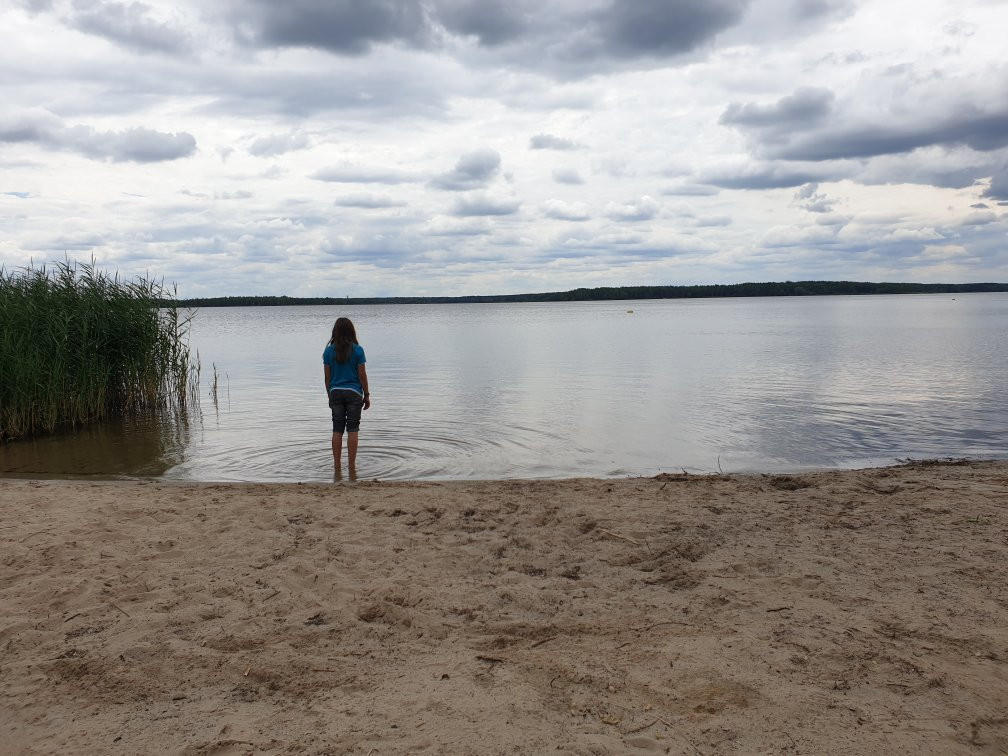Senftenberger See-Senftenberg必去景点