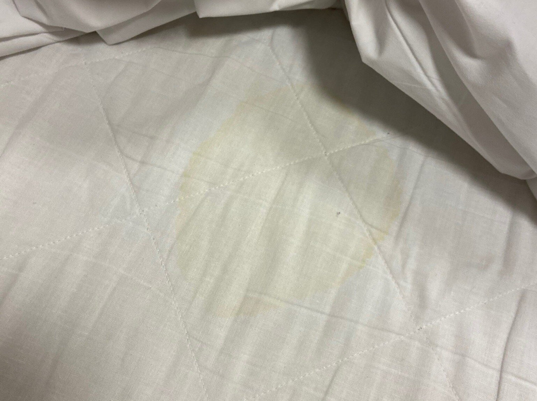 托尼度假酒店主图