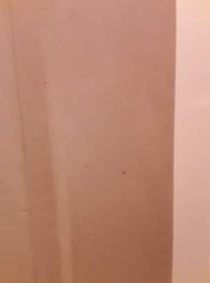 Apple Tree Inn主图