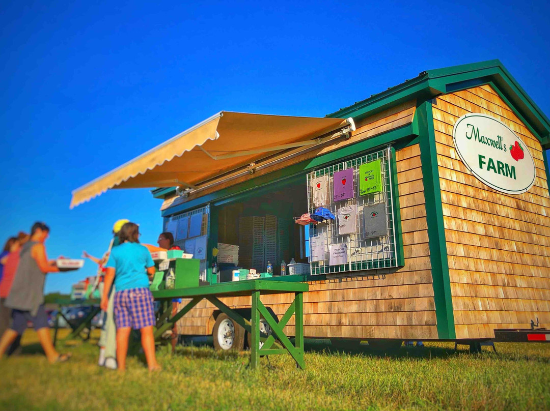 Maxwells Farm-开普伊丽莎白必去景点