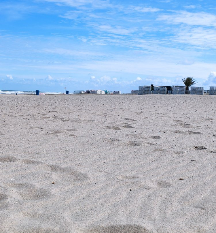 Naaktstrand Hoek van Holland景点图片