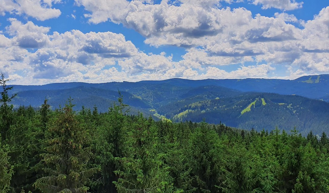 Lookout tower Milonova-Velke Karlovice必去景点