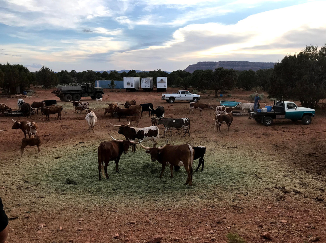 Adventure Tour Company-卡纳布必去景点