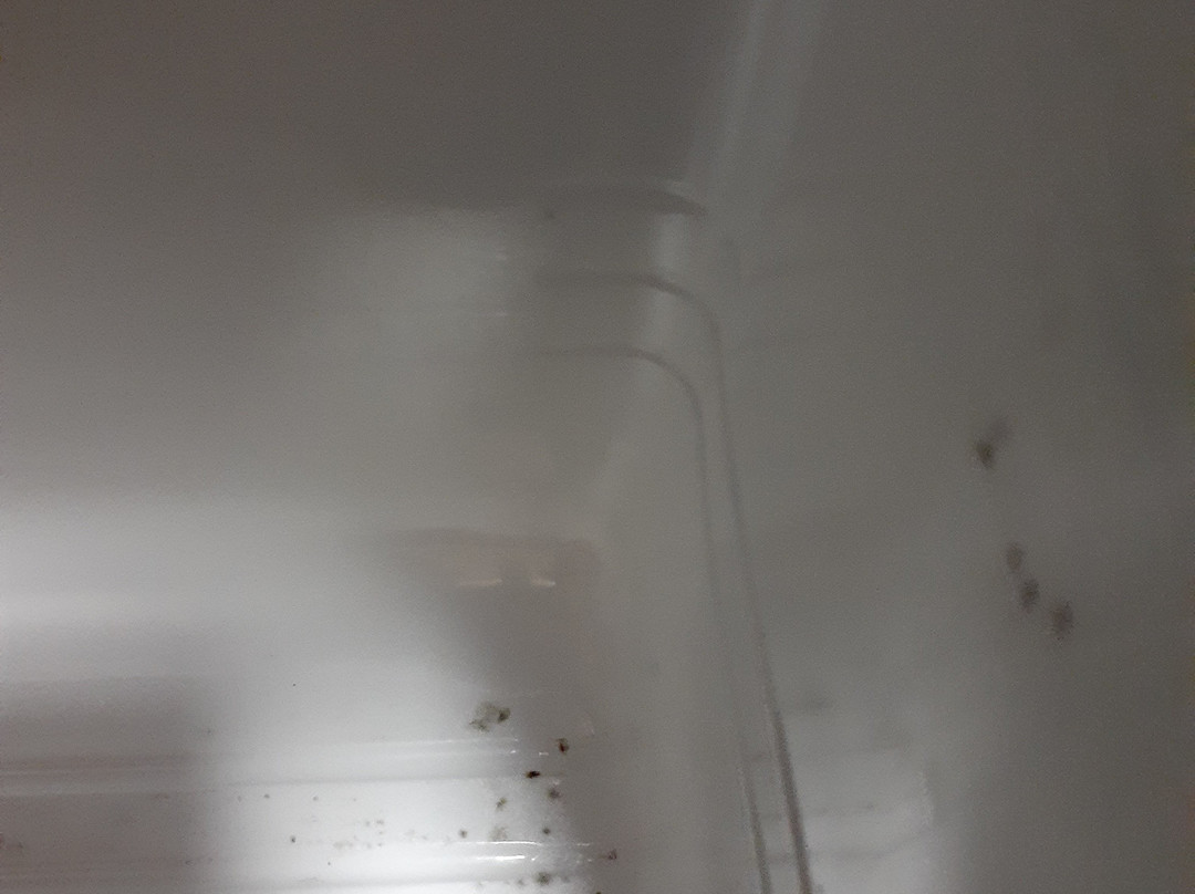 珊瑚岛度假村汽车旅馆主图