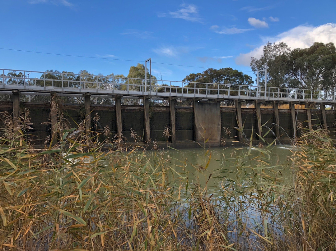 Yanga Track-霍舌姆必去景点