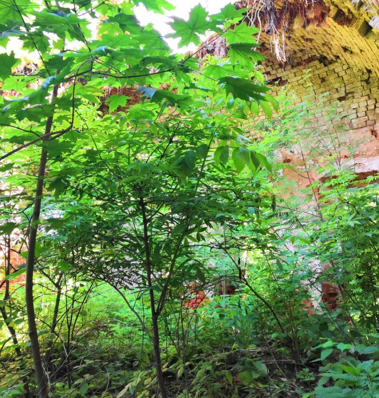 Church of the Trinity-Mikhalkovo必去景点