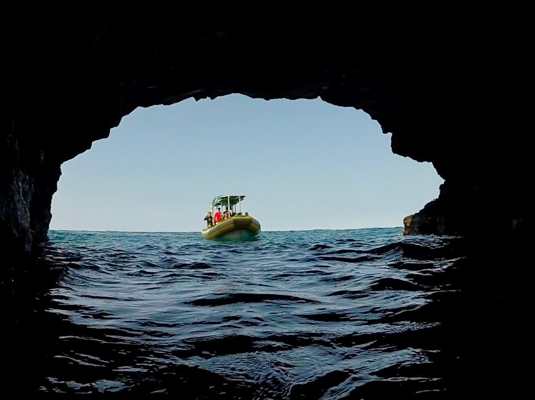 深海探索呼吸管旅游景点图片