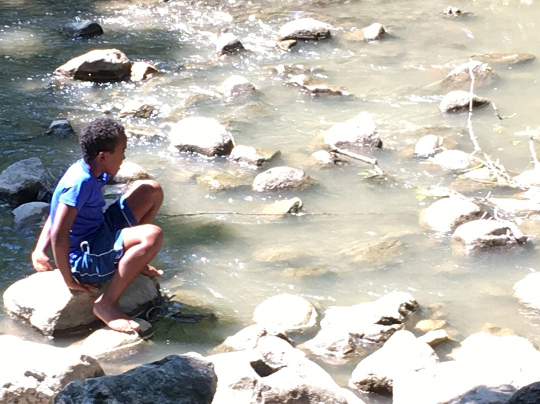 Petrifying Springs Park-基诺沙必去景点