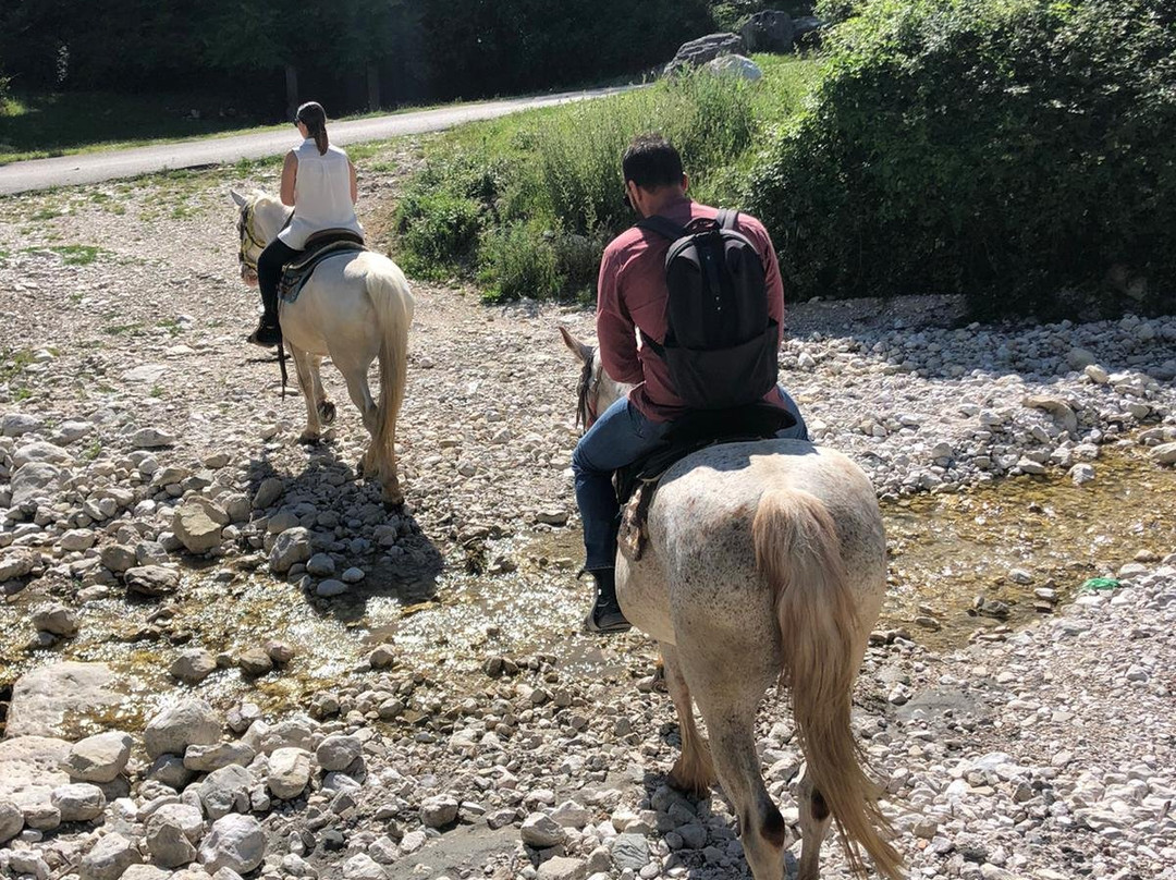 B&B dell'Agriturismo Casale Vitelli主图