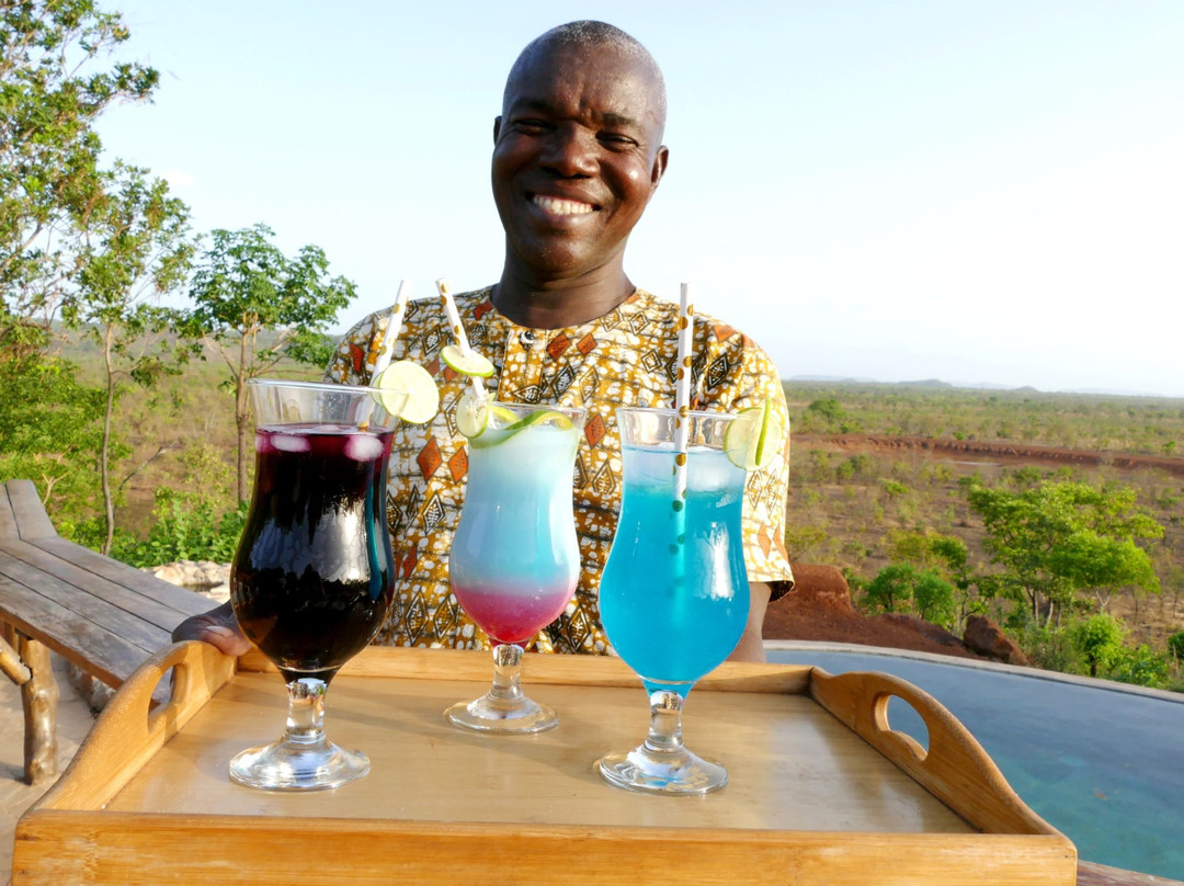 Pendjari Lodge主图