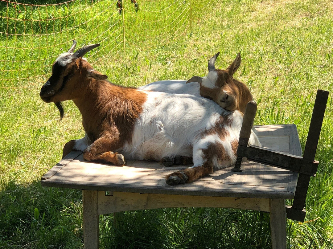 Domaine Notre Dame de la Route主图