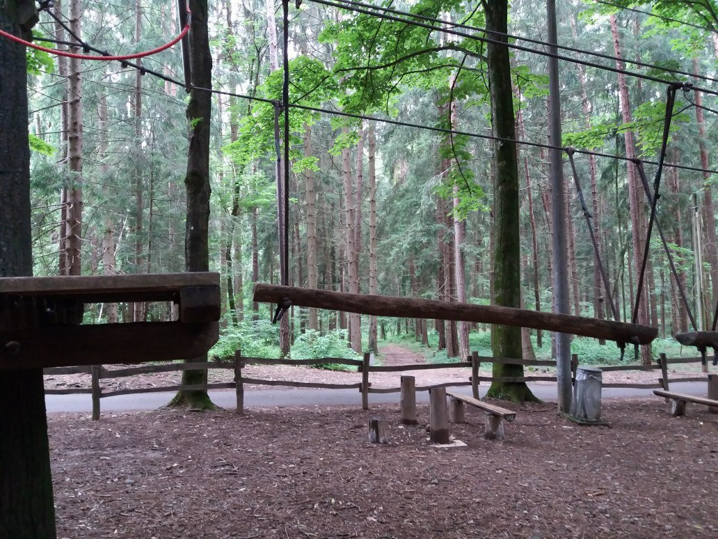 Parco Avventura Pineta景点图片