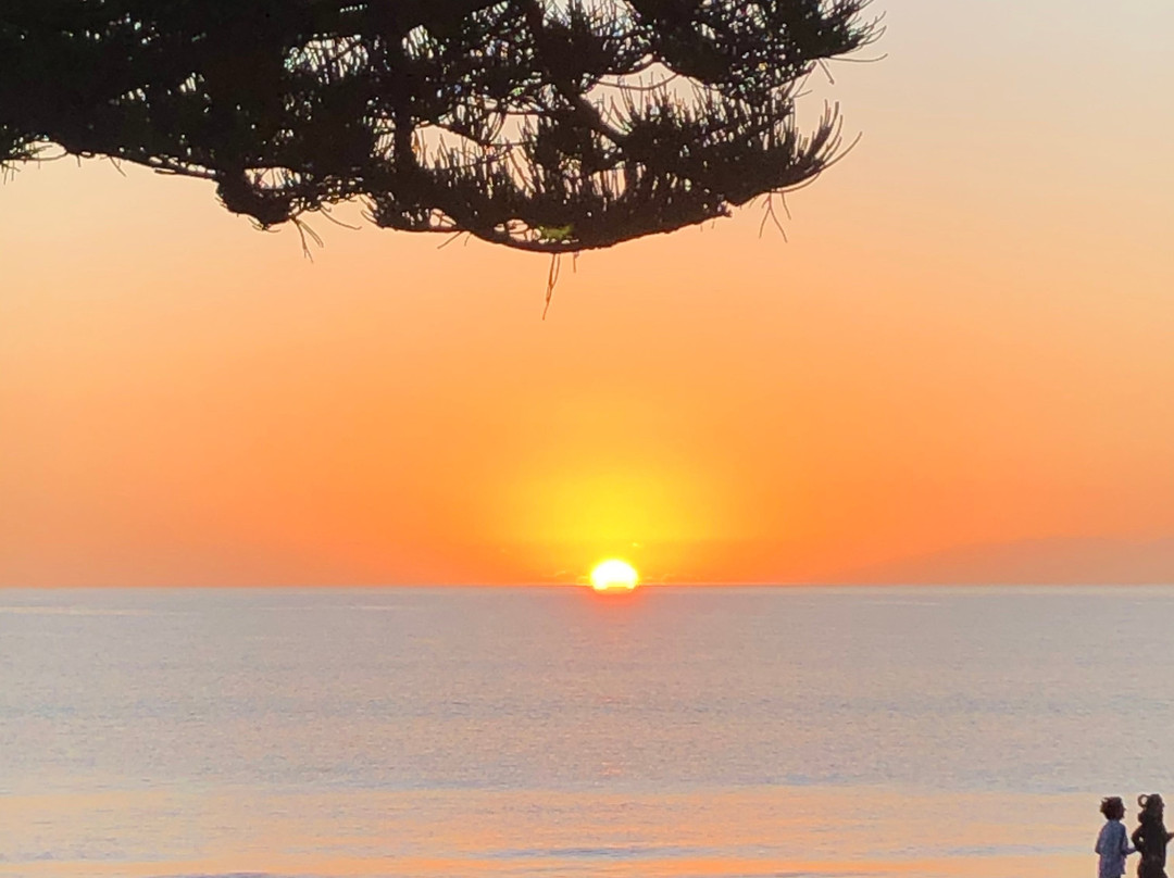 Browns Bay Beach景点图片