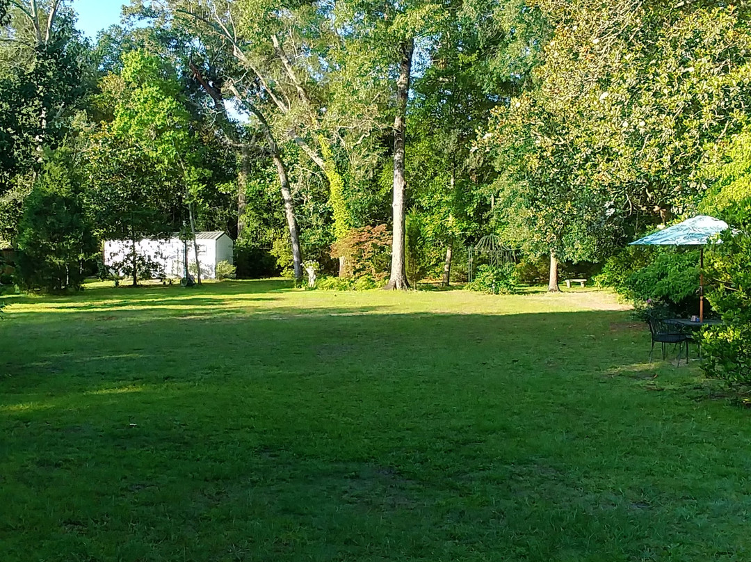 Old Academy Bed and Breakfast主图