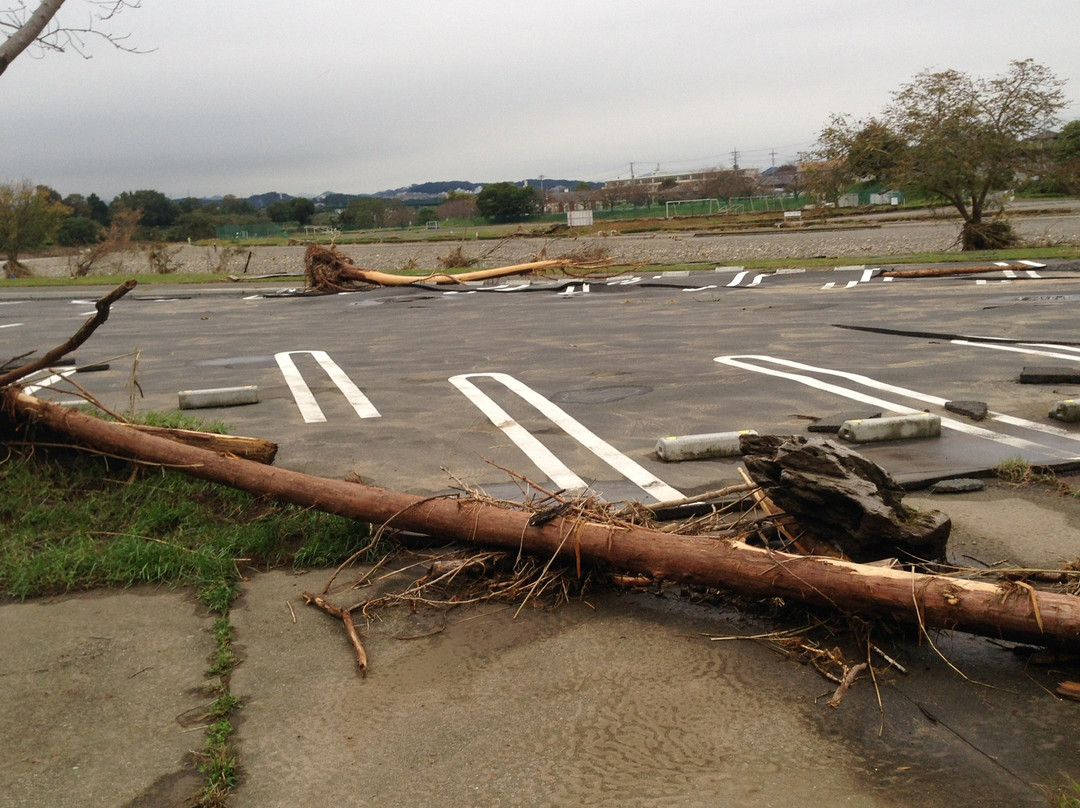 Irumagawa Promenade-入间市必去景点