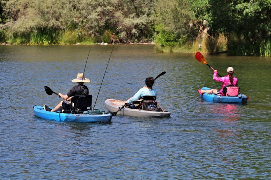 Sailor Bar Park-Fair Oaks必去景点
