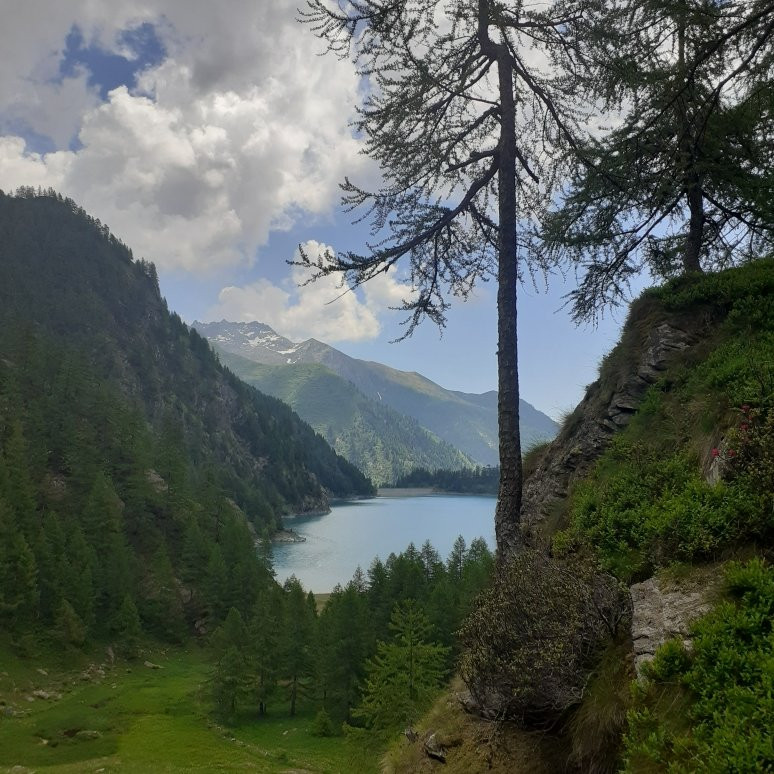 Lago Alpe dei Cavalli景点图片