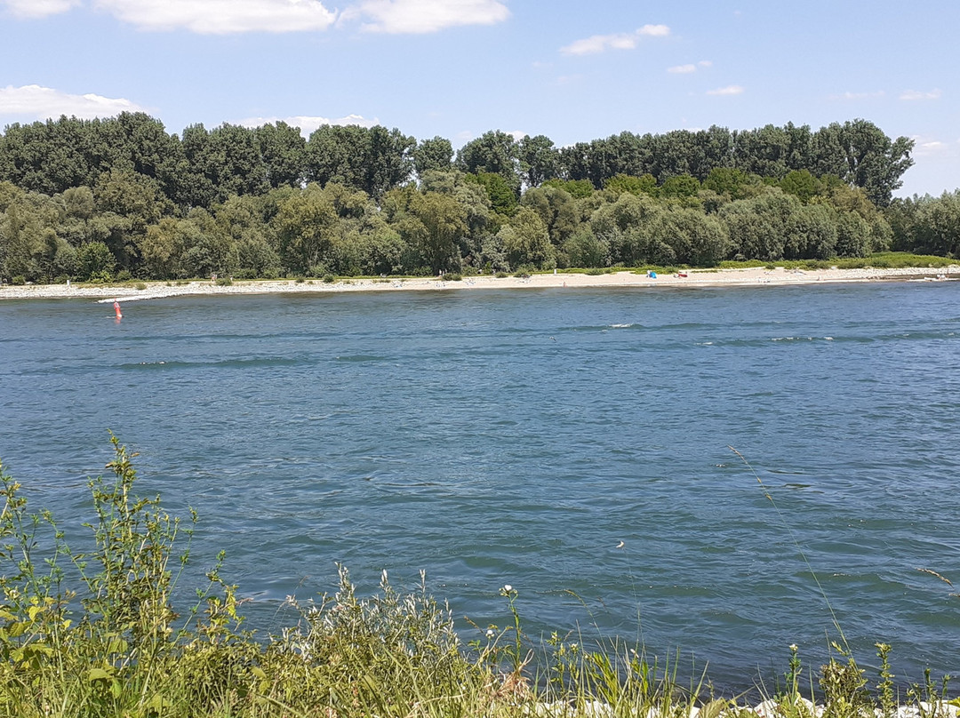 Rheinstrand Speyer景点图片