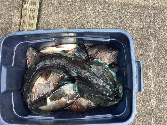 Yaquina Bay Charters-纽波特必去景点